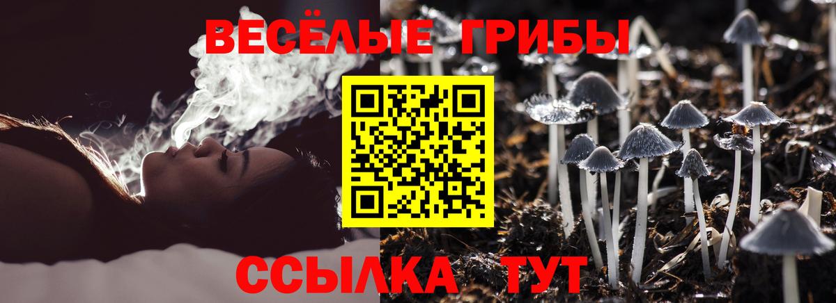 Галлюциногенные грибы ЛСД  Вход с VPN  Зеленокумск 